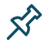 Pin icon